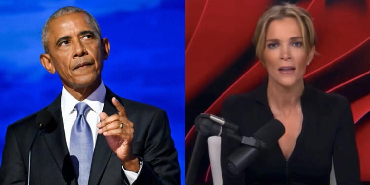 Megyn Kelly Labeled ‘Racist’ After Calling Barack Obama a ‘Slick Snake’ Who Brought ‘Race Into Politics