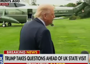 MOB BOSS: Stroke Me Don’t Provoke Me