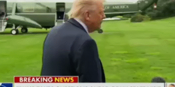 MOB BOSS: Stroke Me Don’t Provoke Me